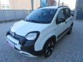 usato FIAT Panda