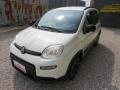 usato FIAT Panda