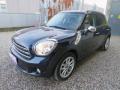 usato MINI Countryman
