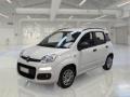 usato FIAT Panda