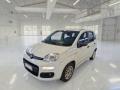 usato FIAT Panda