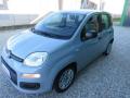 usato FIAT Panda