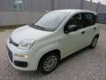 usato FIAT Panda