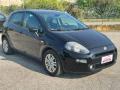 usato FIAT Punto