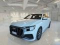 usato AUDI Q8