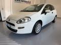 usato FIAT Punto Evo