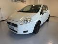 usato FIAT Grande Punto