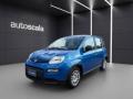 usato FIAT Panda