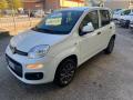 usato FIAT Panda
