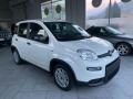 usato FIAT Panda