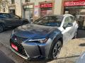 usato LEXUS UX