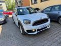 usato MINI Countryman
