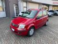 usato FIAT Panda