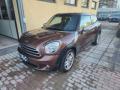 usato MINI Paceman