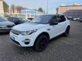 usato LAND ROVER Discovery Sport