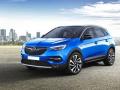usato OPEL Grandland X