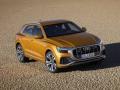 usato AUDI Q8