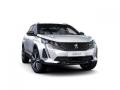 usato PEUGEOT 3008