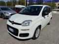 usato FIAT Panda