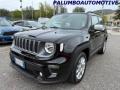 usato JEEP Renegade