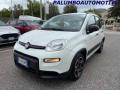 usato FIAT Panda