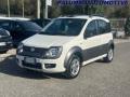 usato FIAT Panda