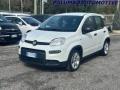usato FIAT Panda