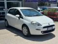 usato FIAT Punto