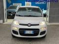 usato FIAT Panda