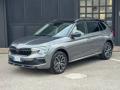 usato SKODA Kamiq