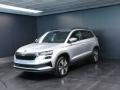 usato SKODA Karoq