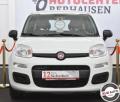 usato FIAT Panda