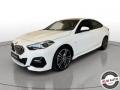 usato BMW 218