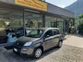 usato FIAT Panda