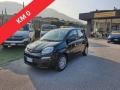 usato FIAT Panda