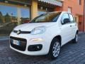 usato FIAT Panda