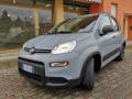 usato FIAT Panda