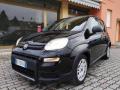 usato FIAT Panda