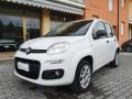 usato FIAT Panda