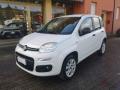 usato FIAT Panda