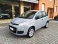 usato FIAT Panda