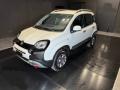 usato FIAT Panda