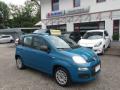 usato FIAT Panda