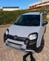 usato FIAT Panda