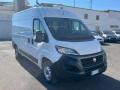 usato FIAT Ducato