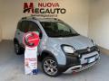 usato FIAT Panda Cross