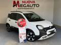 usato FIAT Panda Cross
