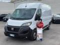 usato FIAT Ducato
