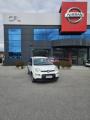 usato FIAT Panda