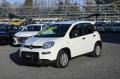 usato FIAT Panda